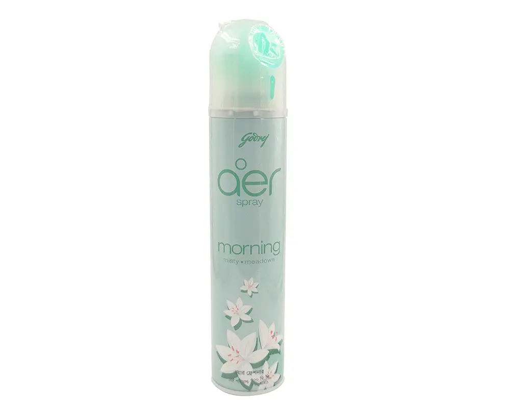 Godrej Aer Spray Morning Mistry 300ml