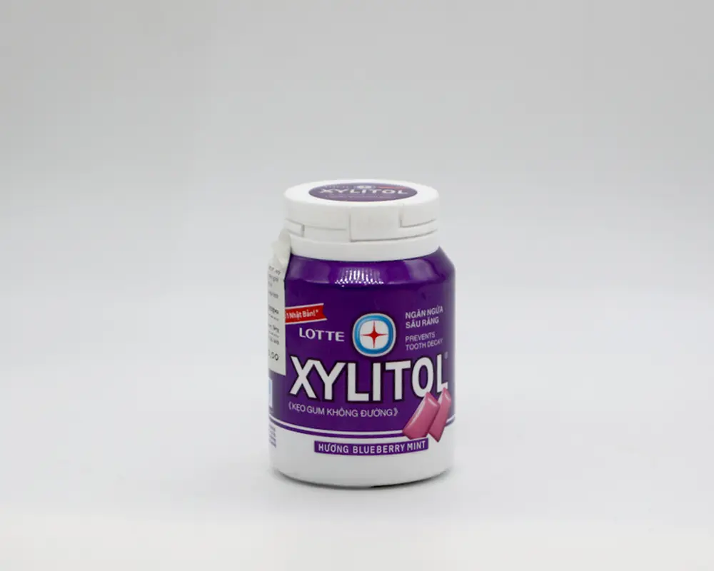 Lotte Xylitol Blueberry Mint Gum 55.1gm VN