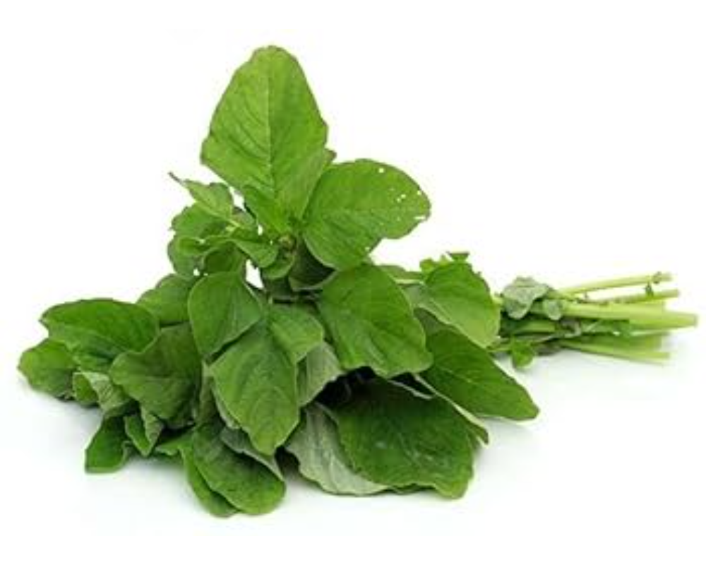 Data Shak (Amaranth Spinach)