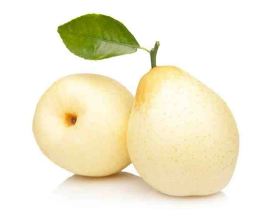 Nashpati (Pears White)