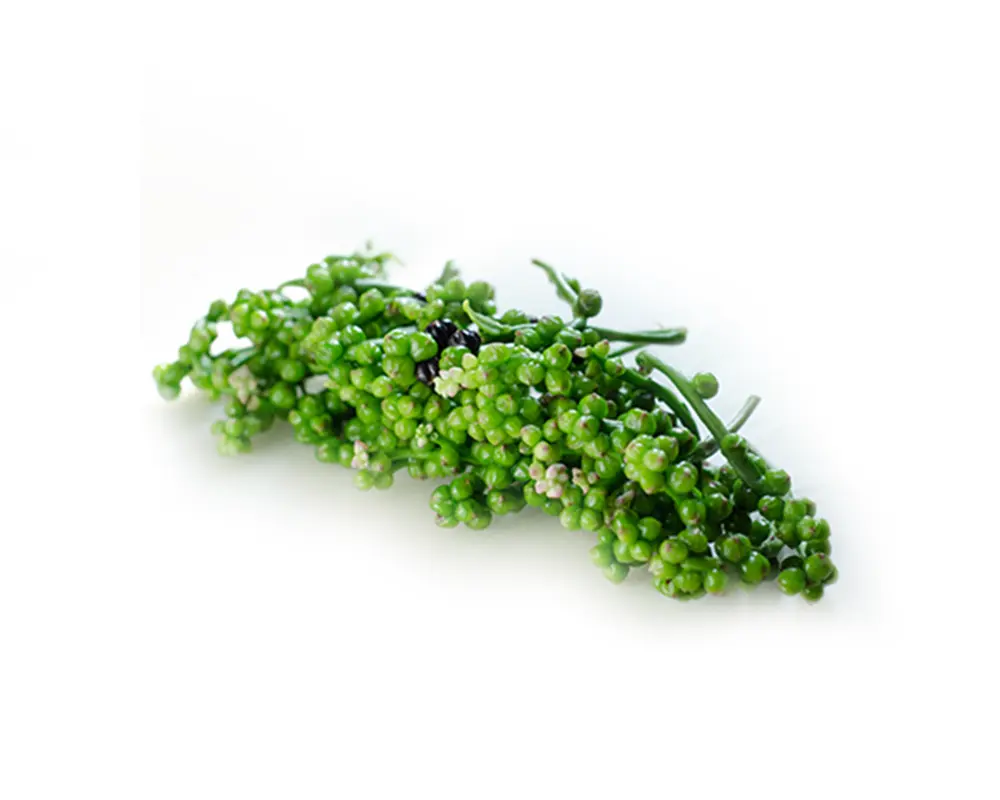 Pui Shak Bichi (Malabar Spinach Seed)