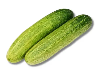 Shosha (Cucumber)