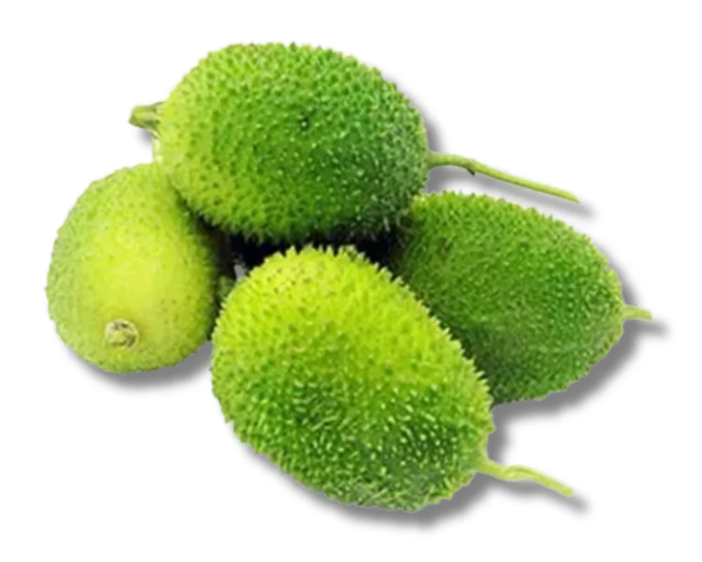 Kakrol (Teasel Gourd)