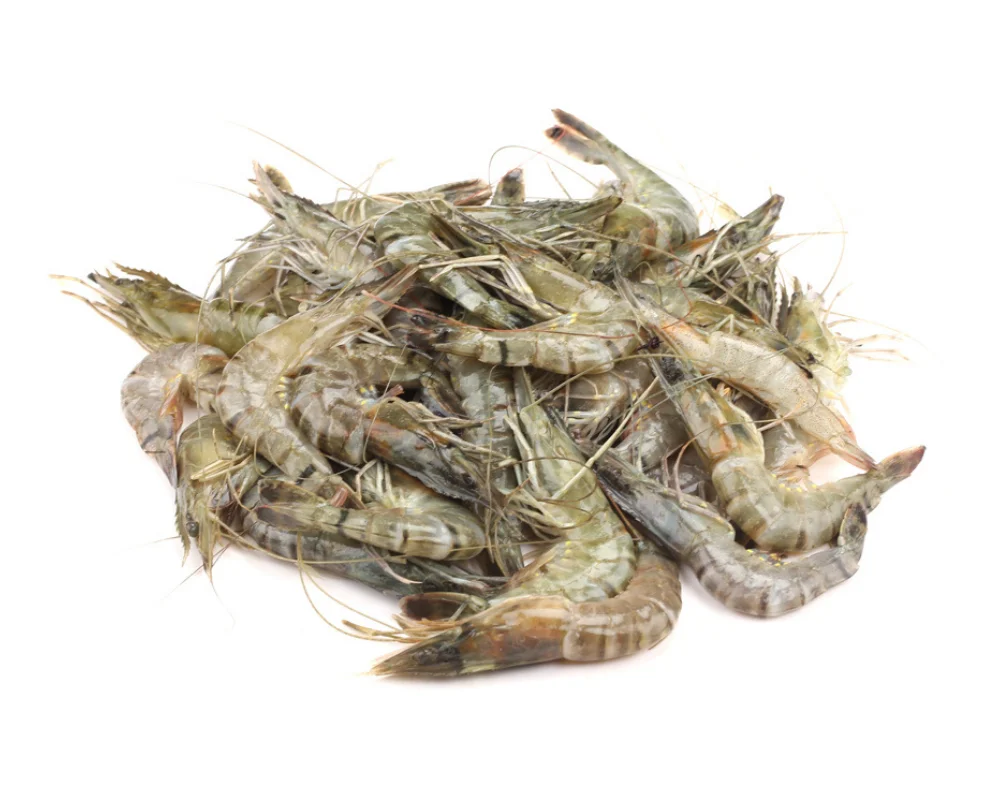 Bagda Chingri Fresh Local Cultured (55-65 Pcs/kg)