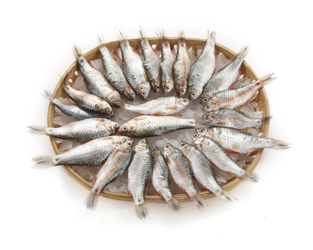 Puti Fresh Local Cultured