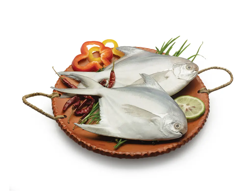 Rupchanda (Promfret) Fresh Local Captured (5-6 Pcs/kg)