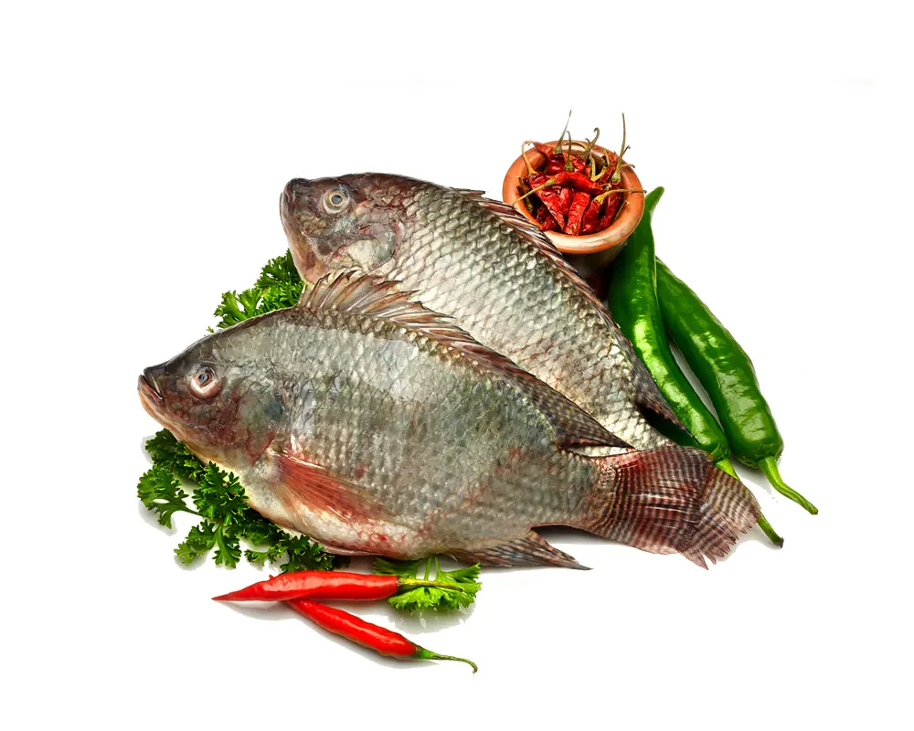 Telapiya Fresh Local Cultured 200gm+